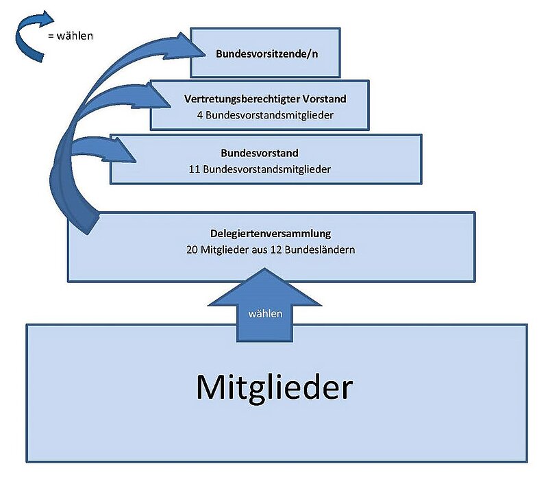 Hierarchieorganigramm von den Mitgliedern bis zur/-m Bundesvorsitzenden